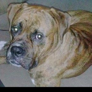 Meet your Posher, Katt